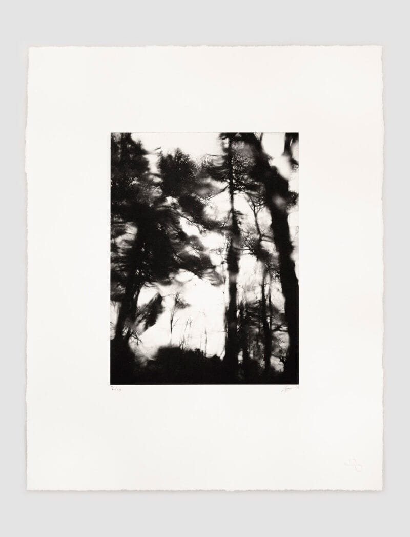 Jp Gibson